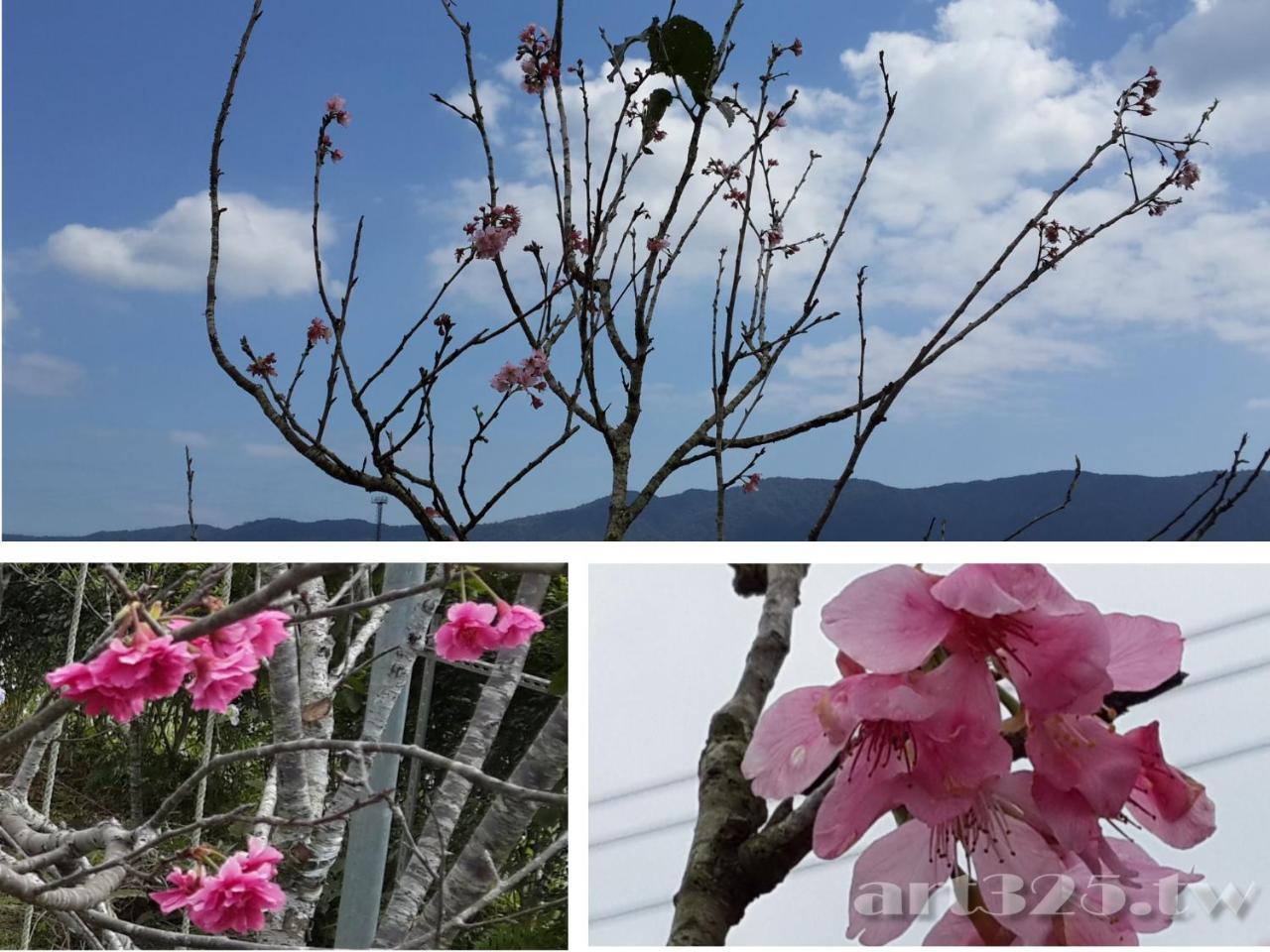 Yi Tian Homestay Fenglin Exteriér fotografie