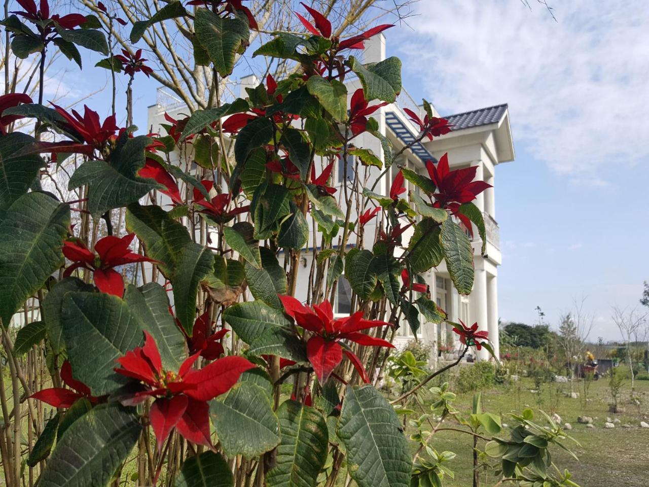 Yi Tian Homestay Fenglin Exteriér fotografie