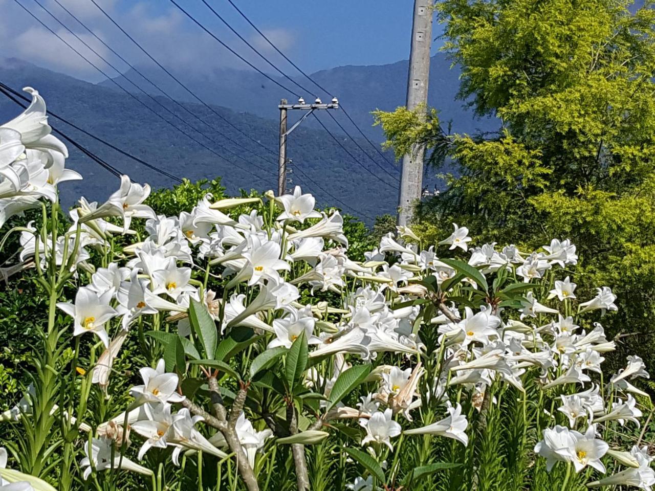 Yi Tian Homestay Fenglin Exteriér fotografie