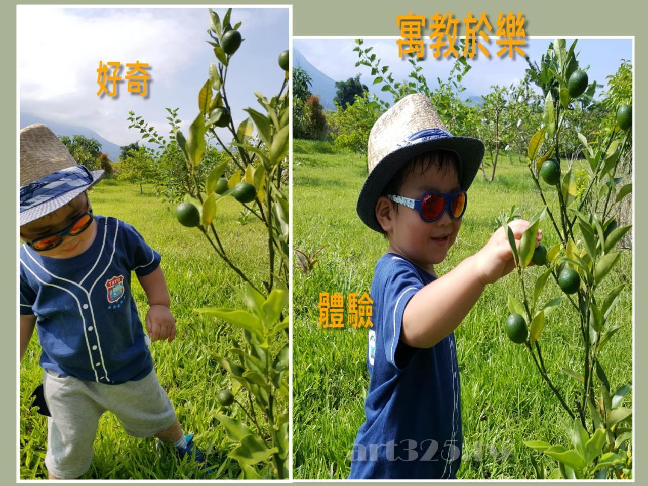 Yi Tian Homestay Fenglin Exteriér fotografie